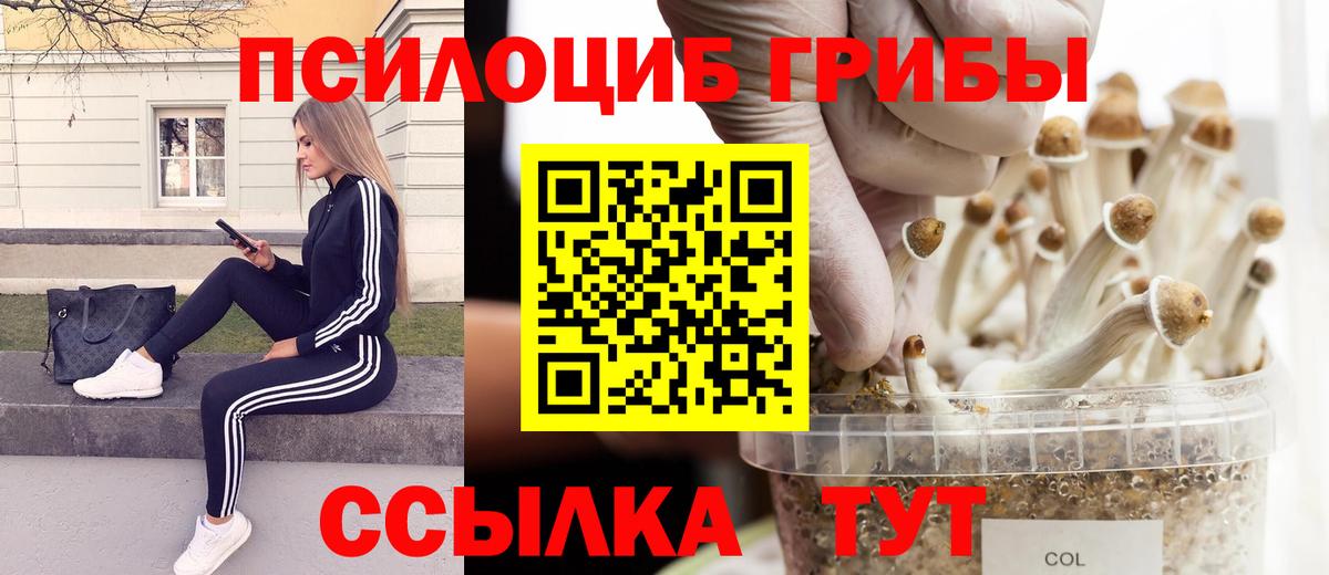 Кумертау  Псилоцибиновые грибы мухоморы  Вход с VPN 
